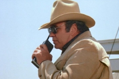 2b. Cop watch his daughter car being stolen