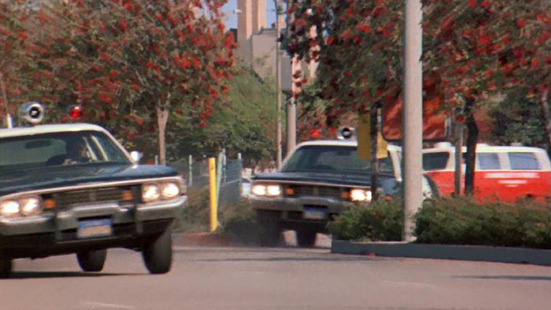 5. In chase