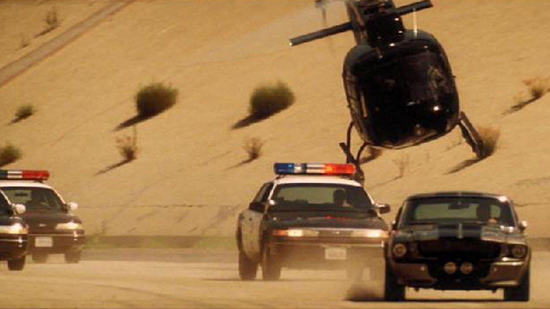 15d. Memphis Eleanor being chased no