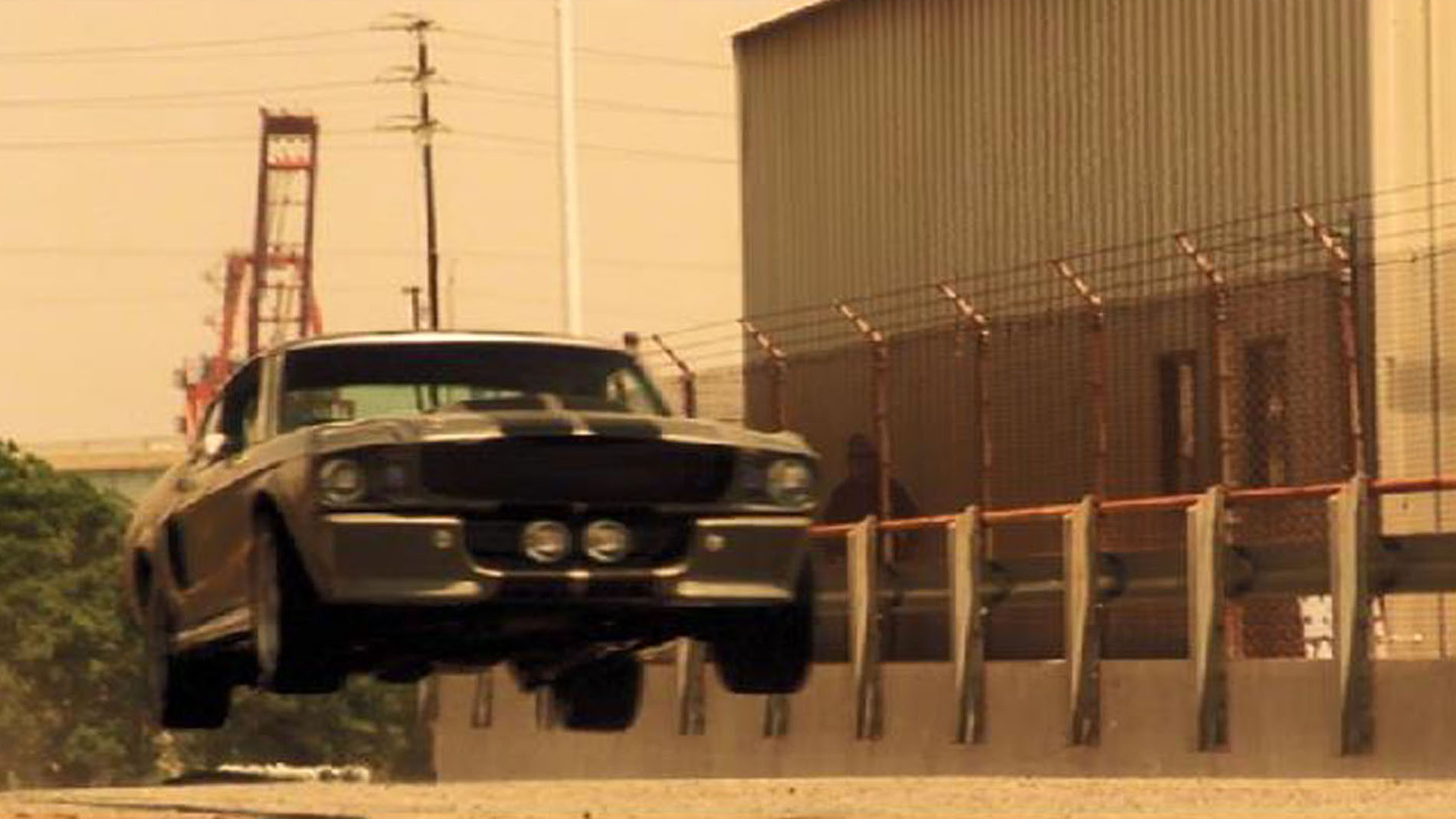 15e. Memphis Eleanor being chased MId air no