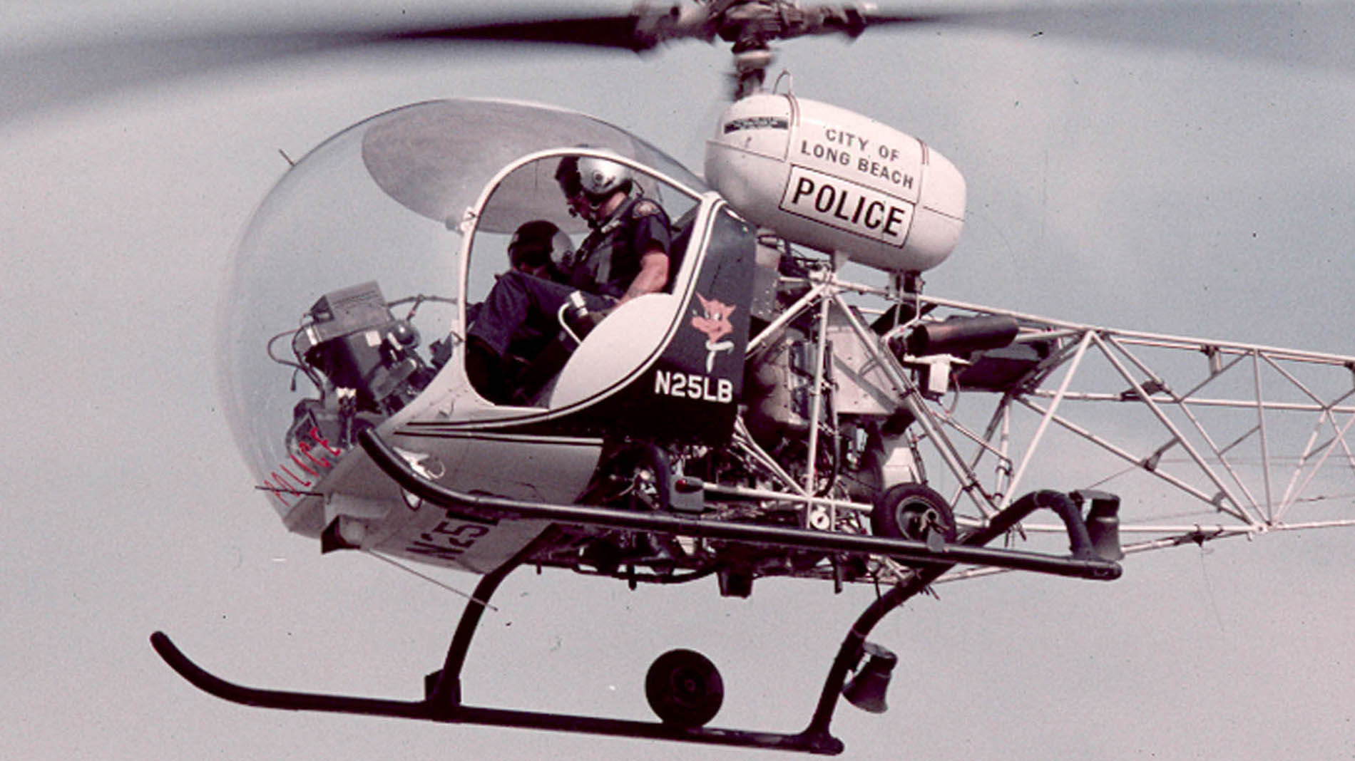 21. Police in air after Eleanor left
