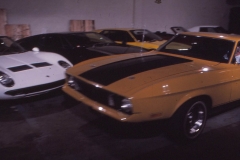 8. Pace drive back Eleanor that has no Insurance