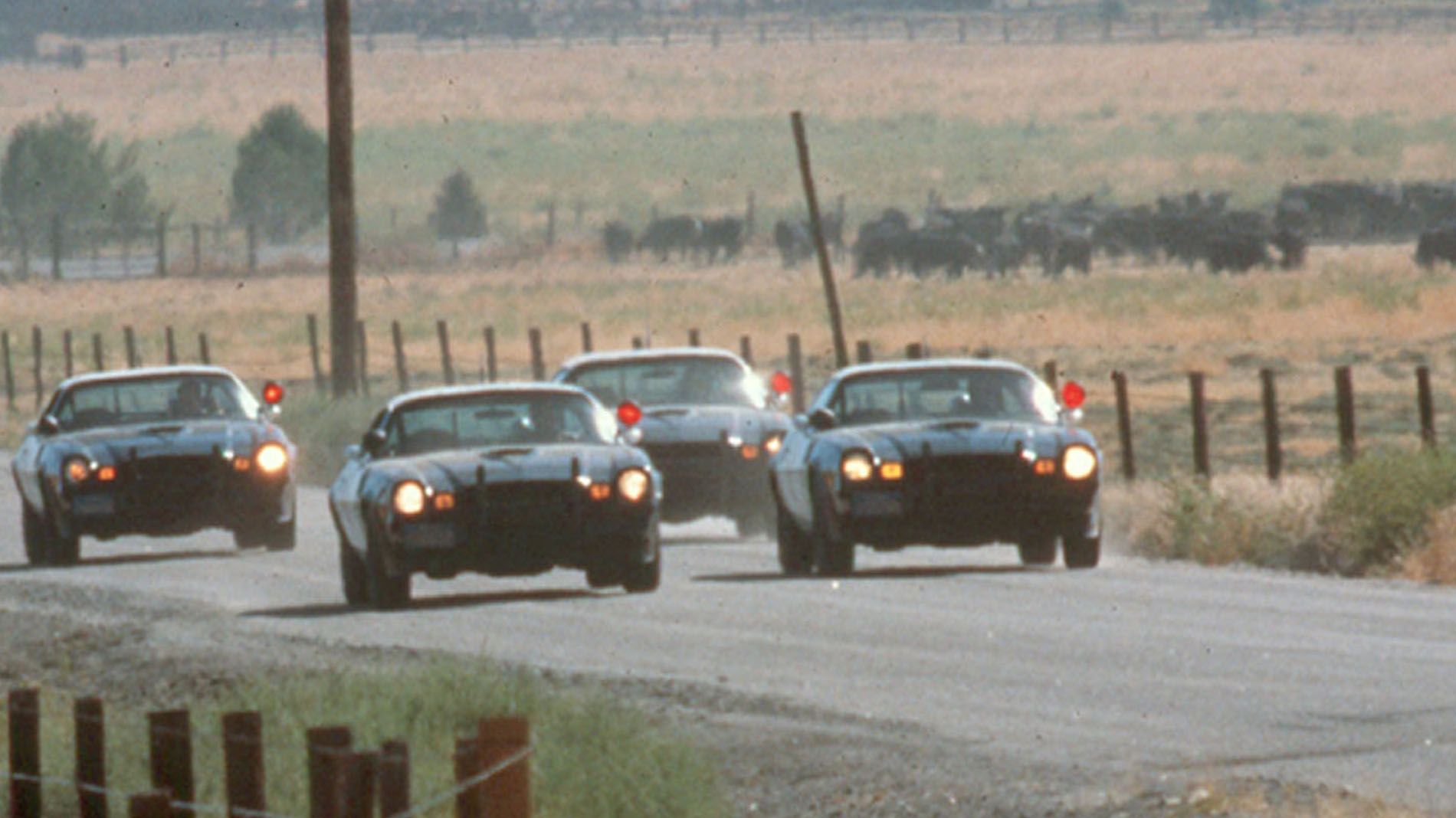 19. Camero Cops races to scene
