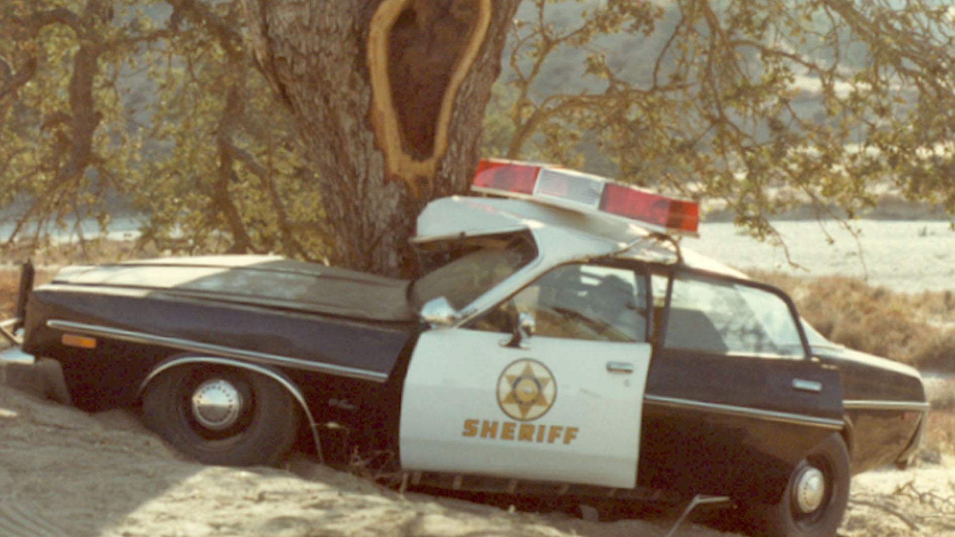 26. Cop Car Bent around tree