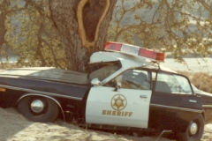 26. Cop Car Bent around tree